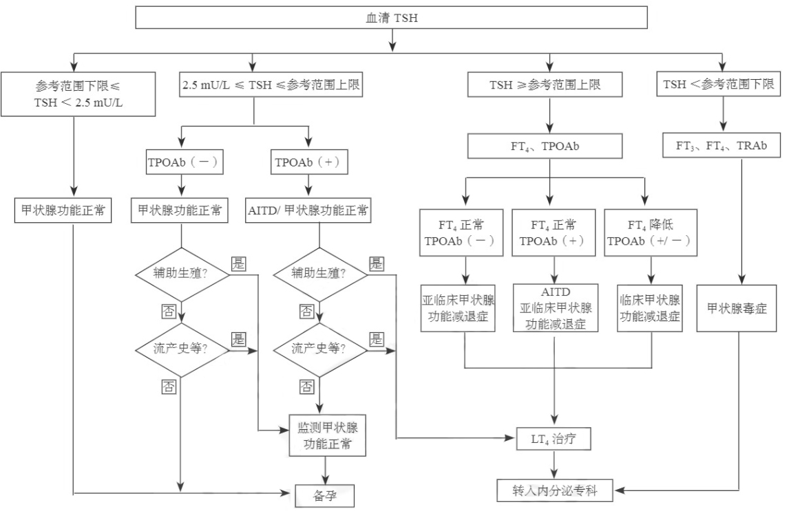 孕前血清TSH篩查、診斷和管理流程