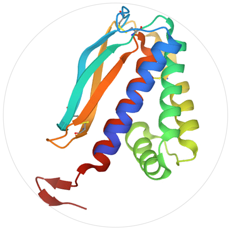 猴痘抗原A29L、A35R、B6R、M1R介紹