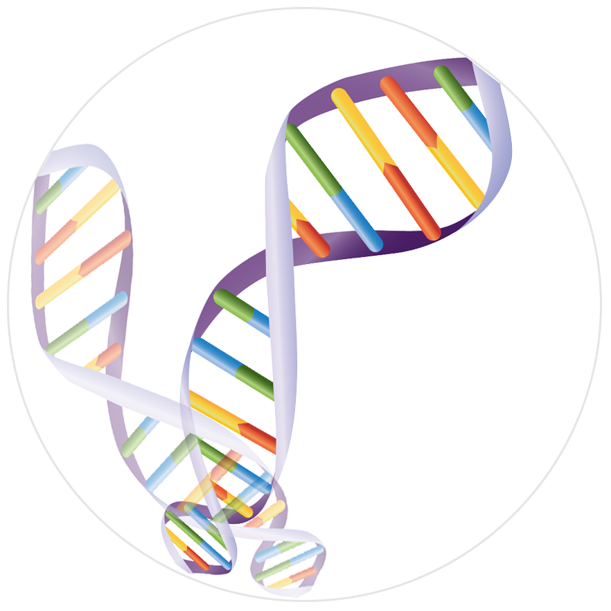 猴痘病毒與天花病毒基因組比對(duì)