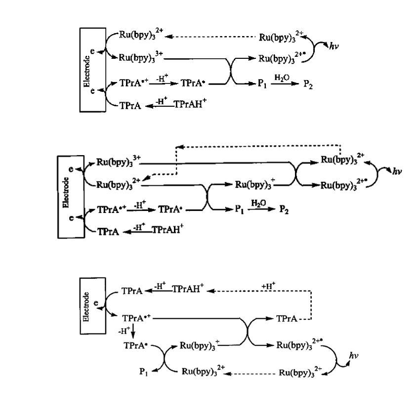 還原氧化型ECL的三種反應(yīng)過(guò)程 還原氧化型ECL的三種反應(yīng)過(guò)程