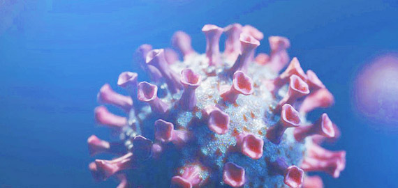 HBP高親和兔單抗，助力IVD備戰(zhàn)COVID-19重癥高峰