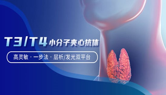 【小分子夾心法】甲功T3/T4，高靈敏&一步法